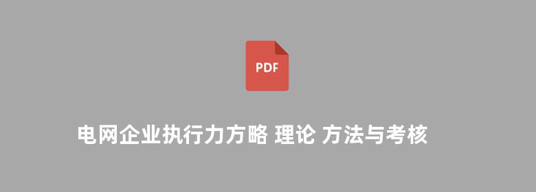 电网企业执行力方略 理论 方法与考核实务